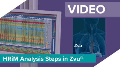 HRiM Analysis Steps in Zvu<sup>®</sup>