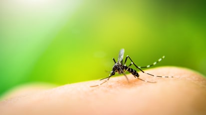 #TomorrowsDiscoveries: Exploiting the Weakness of Mosquitoes | Christopher Potter, Ph.D.