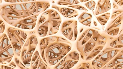 Updates in Reconstructive Transplantation: Basic Science Summary 