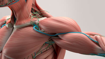 Thoracic Outlet Syndrome (TOS) Q & A
