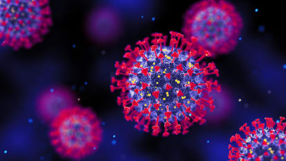 A Pragmatic Update on Respiratory Infections: COVID-19 Lessons, Current Learning Opportunities and Emerging Threats