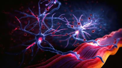 Primary Care Predicaments: Myopathies, Neuropathies & Neuromuscular Conditions, Oh My!