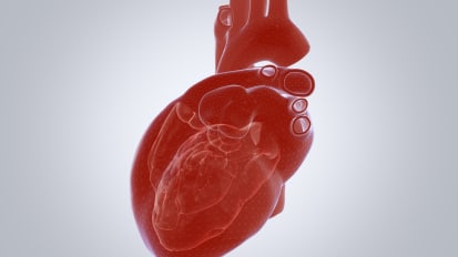 Role of genetic factors and biomarkers in congenital heart defects and neurodevelopmental outcomes