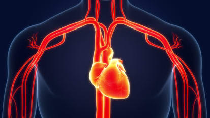 Left Atrial Appendage Closure