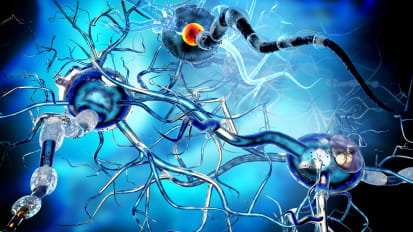 Recent Discoveries in the Pathological Features of MS