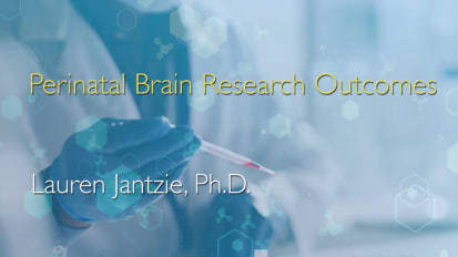 Perinatal Brain Research Outcomes - Lauren Jantzie, Ph.D.