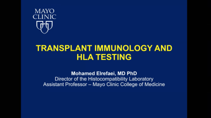 Transplant immunology and HLA testing