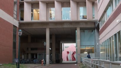 Research in Neuroinflammation and Neurotherapeutics