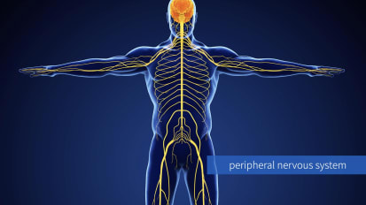 Neurological Effects of Immunotherapy