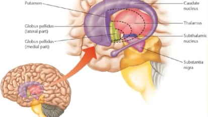 Tics and Tourette Syndrome