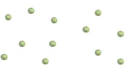 The Undoing: The Demise of the T Cell in GBM and Intracranial Tumors