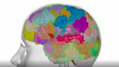 The Anatomy of the Human Cognitive and Emotional System: IA vs AI