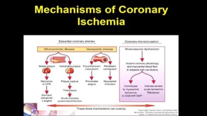 Emergence of GHI: One-Stop-Shop for Delivering Cutting Edge Cardiovascular Care and Leading Research and Innovation