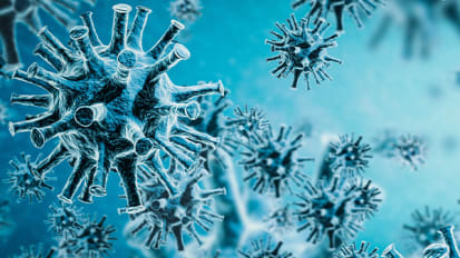 Adapting to COVID-19 with Virtual Care to Optimize Health Through a Multi-Disciplinary Weight Loss Team