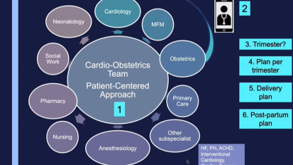 Multidisciplinary Group Approach to Managing Pregnant Patients with Cardiovascular Disease