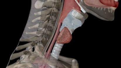 Hypercalcemia and Hyperparathyroidism: Guidelines vs. Practice