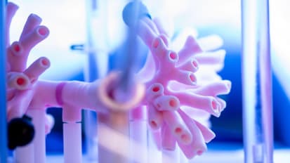 Innovation and collaboration at Mayo Clinic