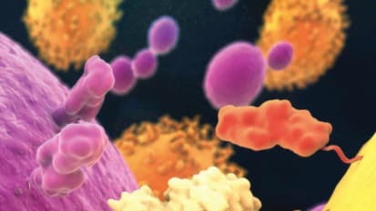 Taking Center Stage: Immunotherapy Joins the Ranks of Mainstream Cancer Treatments