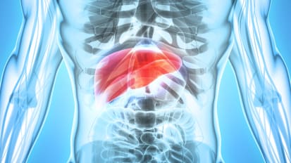 Liver Transplant Program and Referral Information