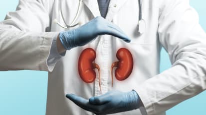 Adult Kidney Transplant Program