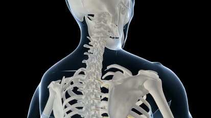 Cervical Spine Injury Evaluation