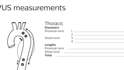 IVUS aortic measurements worksheet