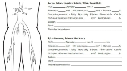 PAD Worksheet: IVUS measurements