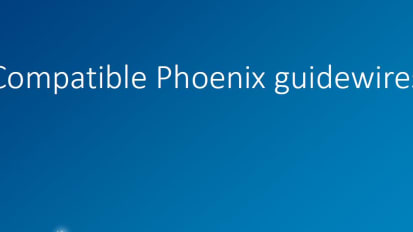 Guidewires Compatible for Use with the Phoenix Atherectomy System Tracking Catheters