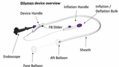 Flexible Endoscopic Double Balloon Platform 2018