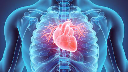 Percutaneous Mitral Valve Replacement (MitraClip) Procedure Clinical Care Pathway