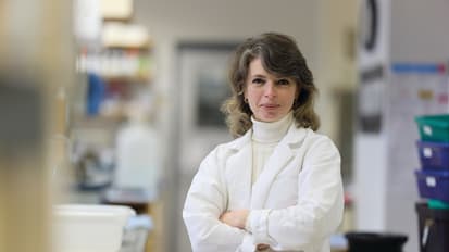 The Unexpected Link between Parkinson’s Disease and the Gut 