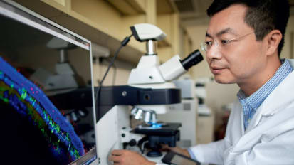 Breaking New Ground in Gene Transfer Therapy to Restore Vision