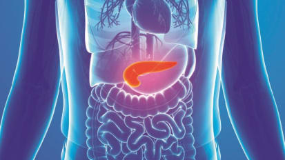 Pediatric Pancreas Program