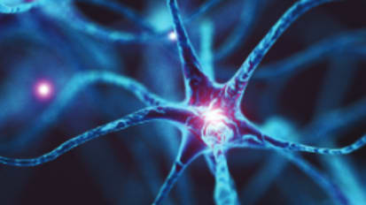 Acute Stroke Transfer Guide for Providers