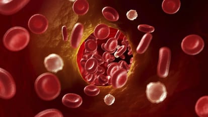 Empiric Antimicrobial Therapy in Sepsis Based on Suspected Primary Source