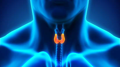 Thyroidectomy Clinical Care Pathway