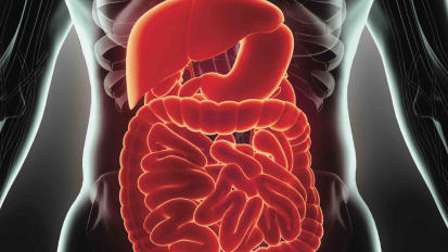 Annual Updates In Digestive Diseases Meets Acing The GI Board Exam