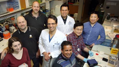 An Artificial Intestine for NEC Patients?