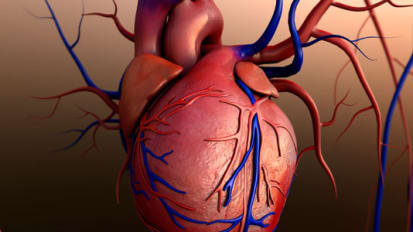 Atrial Fibrillation and Procedures to Close the Left Atrial Appendage