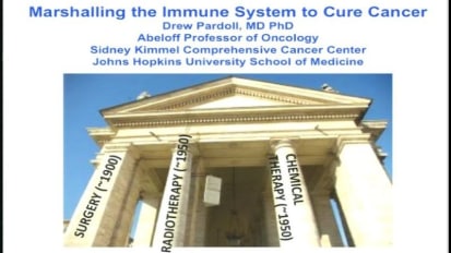Marshalling The Immune System To Cure Cancer