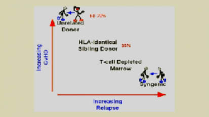 Graft-Versus-Host Disease/Graft-Versus-Leukemia: Recent Advances in Therapy