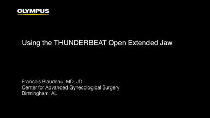 Total Abdominal Hysterectomy with THUNDERBEAT Open Extended Jaw - Francois Blaudeau, MD, JD 