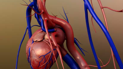 Genetic Basis of Thoracic Aortic Aneurysms and Acute Aortic Dissections: Molecular Pathways and Gene-specific Management – Cardiology Grand Rounds