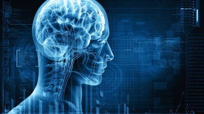 Deep Brain Stimulation for Movement Disorders: Clinical Treatment and Current Research