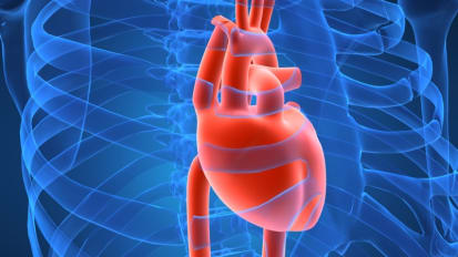 Heart Failure, ECMO & LVAD