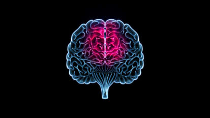 Neurology and Neurosurgery Videos - Johns Hopkins Medicine Neurology and Neurosurgery Videos - Johns Hopkins Medicine