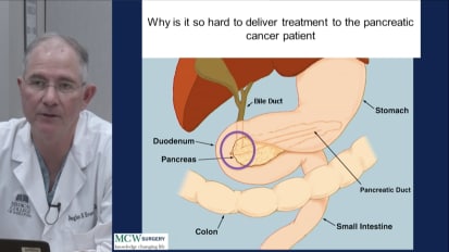 Stenting Endosuite Learning Center