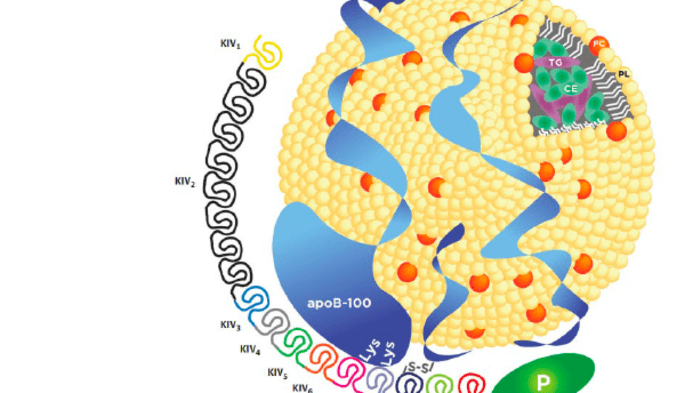 What is the Next Best Test? - Sentara
