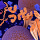 This 3D illustration shows tau proteins (orange on left), which play an essential role in cells but can aggregate (orange C-shaped tubes at center and right), forming harmful deposits in the brain and causing neurodegenerative disease. UT Southwestern researchers have reengineered the tau protein to prevent it from forming the clumps linked to Alzheimer&rsquo;s disease and other brain disorders. (Photo credit: Getty Images)