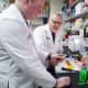 Orphan status for cancer treatment vaccine now applies to use to treat malignant gliomas in children and adults